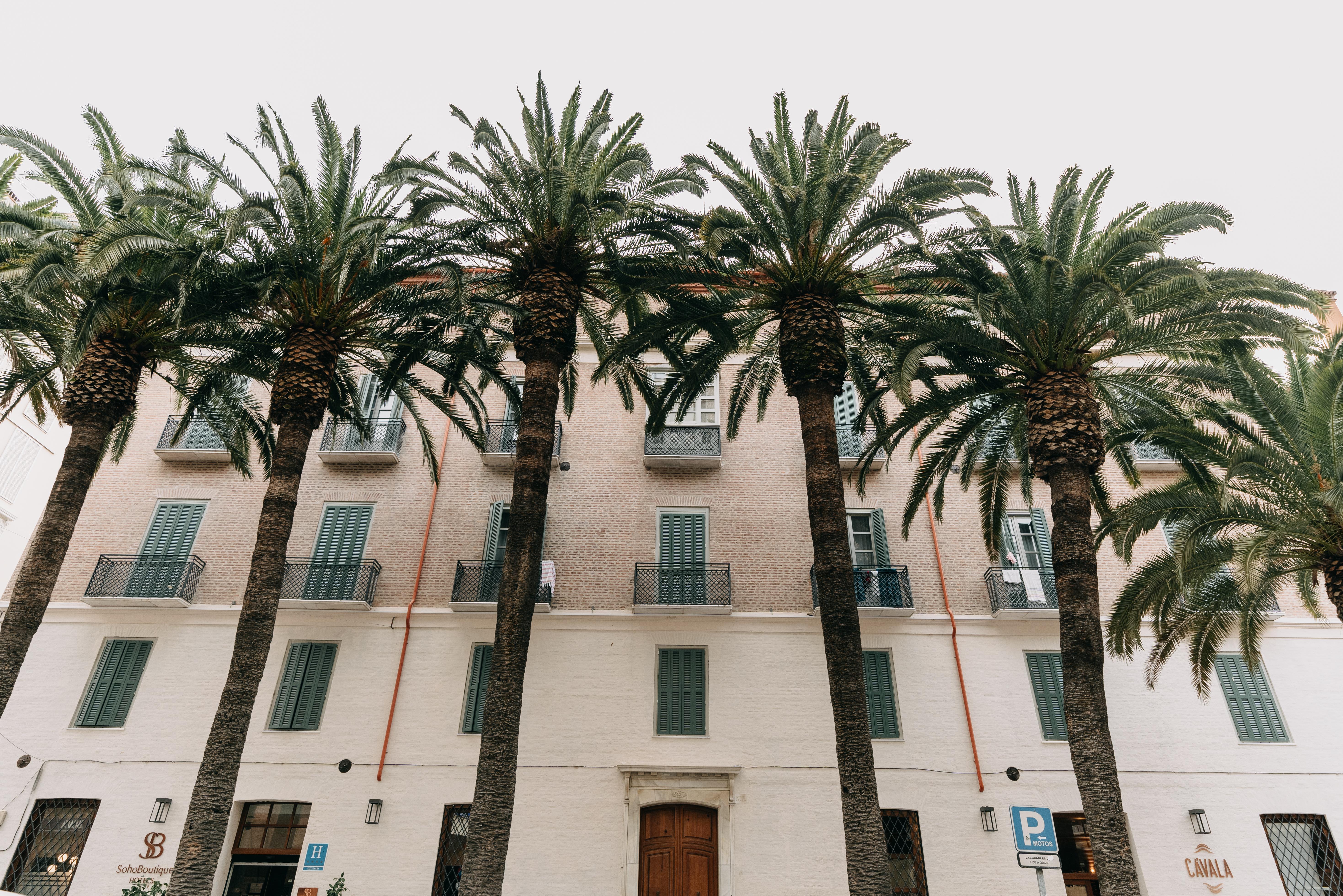 Soho Boutique Colón Hotel Málaga Exterior foto